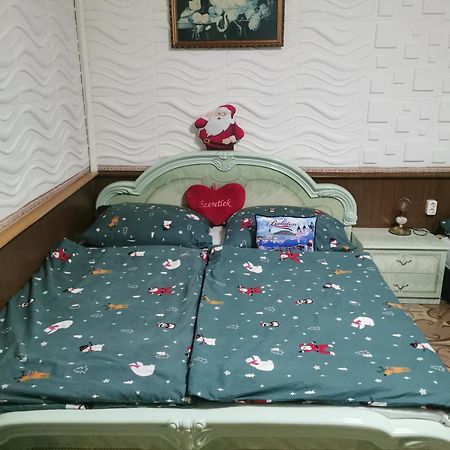 Edit Vendeghaz Tiszaujvaros Room photo